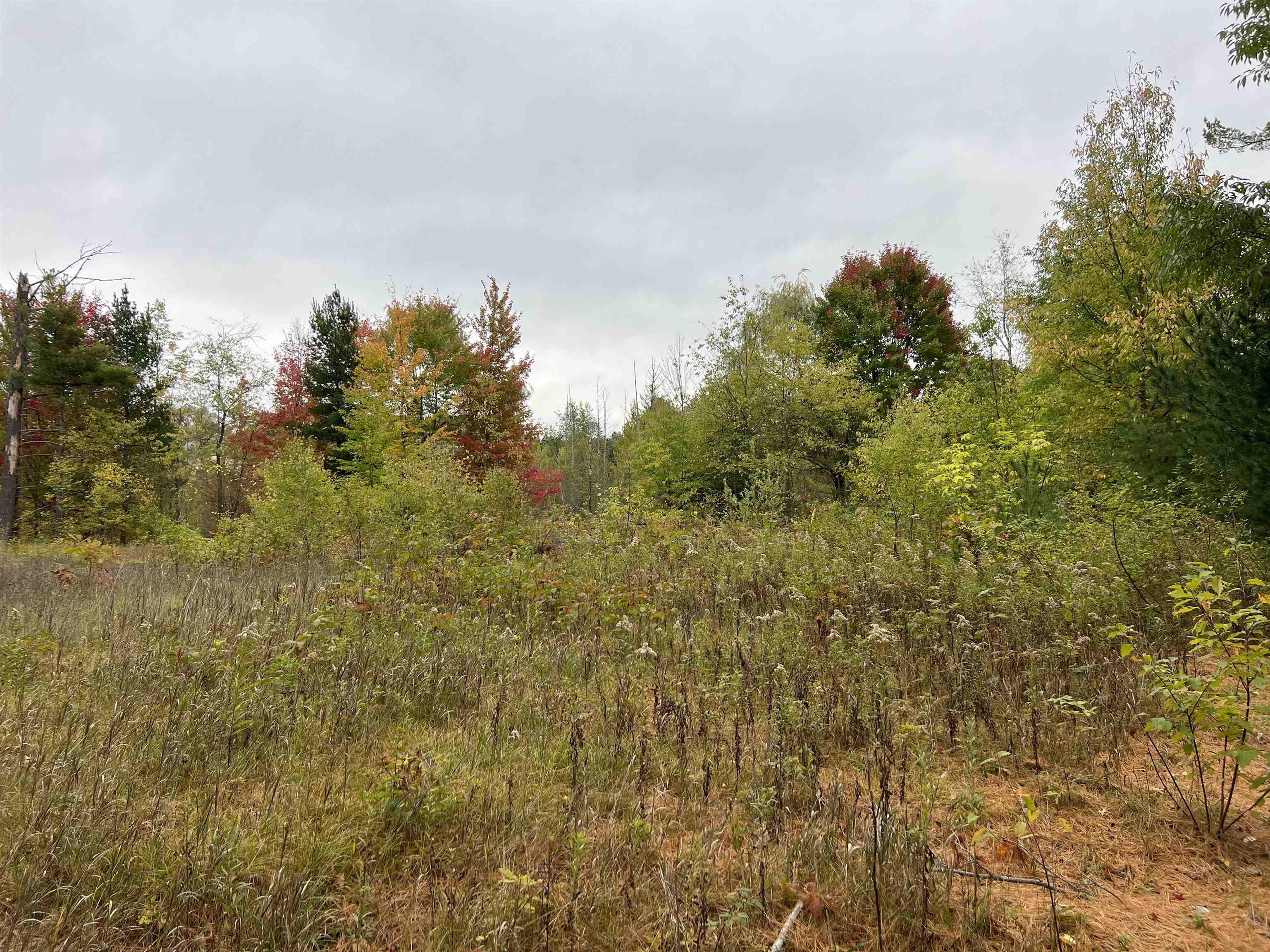 0 Bass Lake Road Traverse City, MI 49685 - Photo 2 of 11 1916755-1.JPG