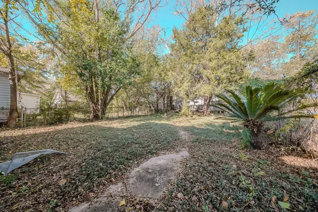 a view of dirt yard with a tree