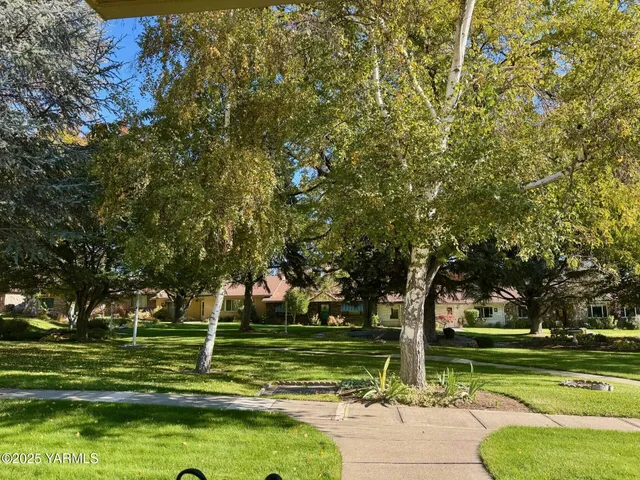 a view of a park with large trees