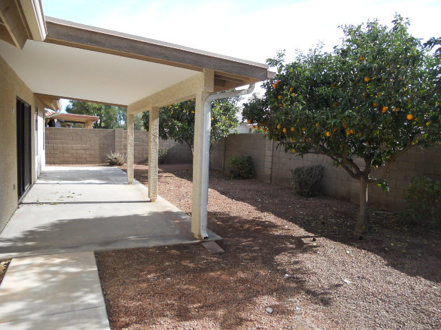 549 West Silver Creek Road Gilbert, AZ 85233 - Photo 18 of 19 Covered Patio