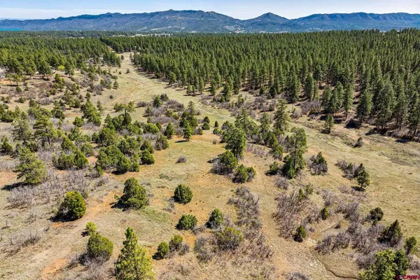 $299,000 | 1963 County Road 125, Hesperus, CO 81326