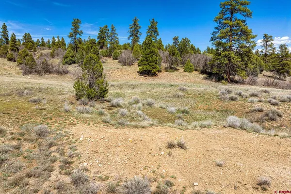 $299,000 | 1963 County Road 125, Hesperus, CO 81326