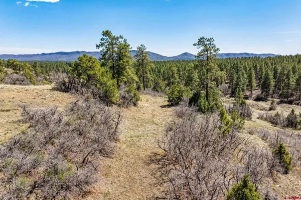 $299,000 | 1963 County Road 125, Hesperus, CO 81326
