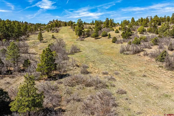 $299,000 | 1963 County Road 125, Hesperus, CO 81326