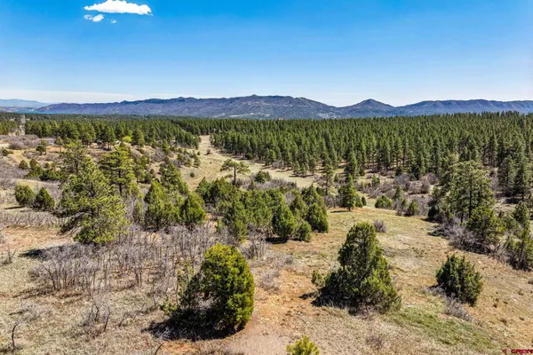 $299,000 | 1963 County Road 125, Hesperus, CO 81326