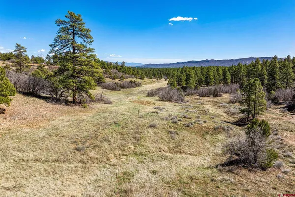 $299,000 | 1963 County Road 125, Hesperus, CO 81326