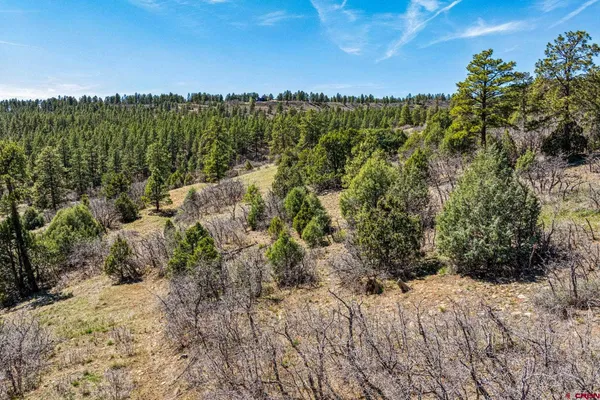 $299,000 | 1963 County Road 125, Hesperus, CO 81326