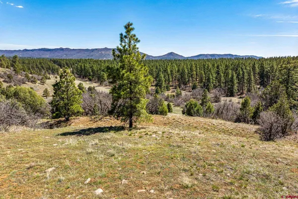 $299,000 | 1963 County Road 125, Hesperus, CO 81326