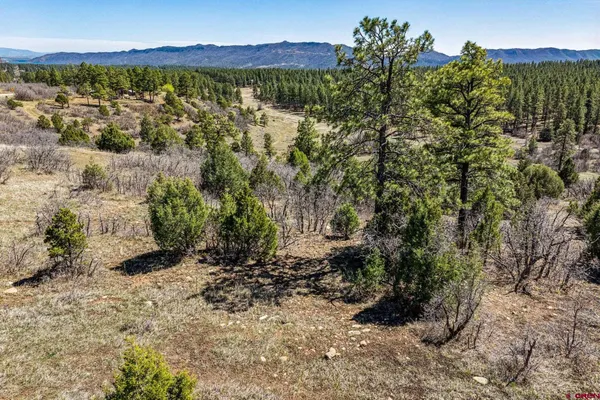 $299,000 | 1963 County Road 125, Hesperus, CO 81326
