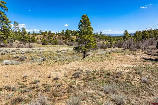 $299,000 | 1963 County Road 125, Hesperus, CO 81326
