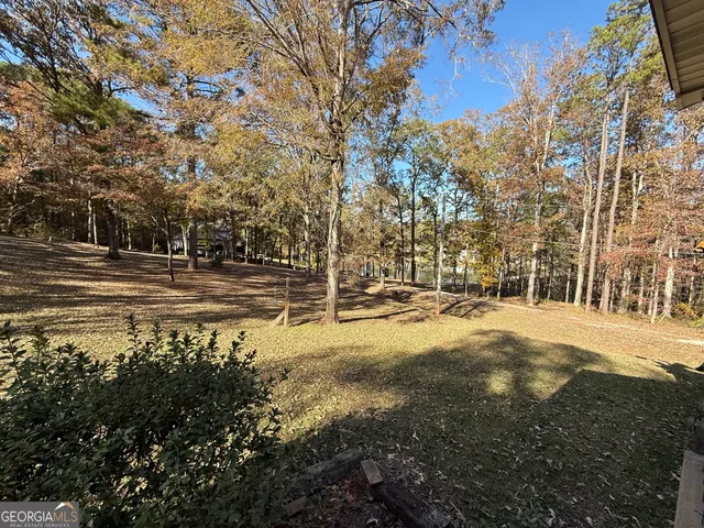 a view of a yard with large trees