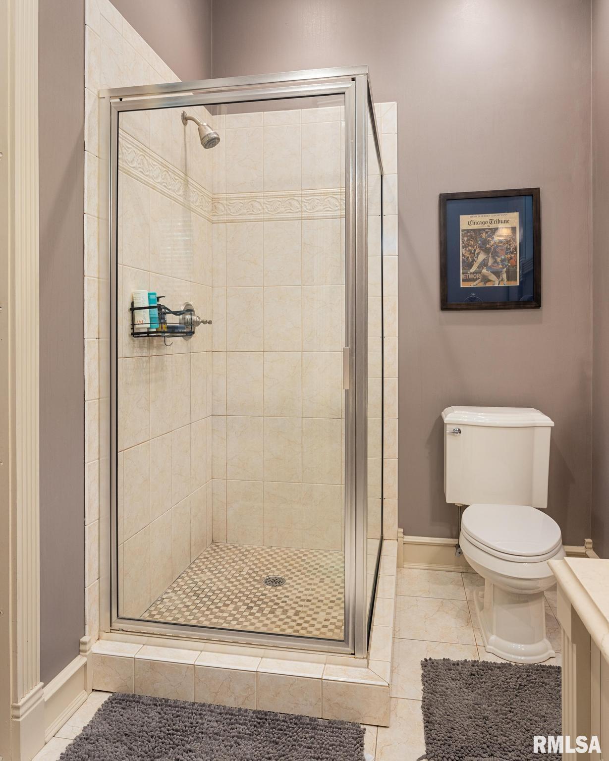 78 Diamond Point Morton, IL 61550 - Photo 41 of 79