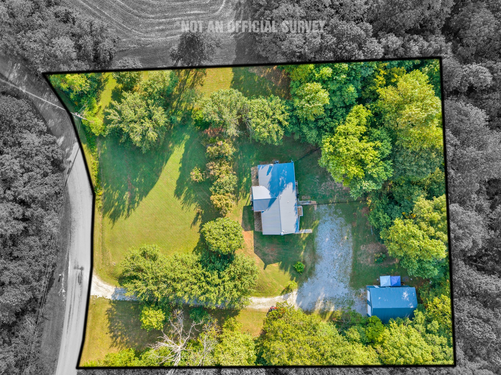 1389 Coconut Ridge Road Smithville, TN 37166 - Photo 6 of 39 an aerial view of a yard