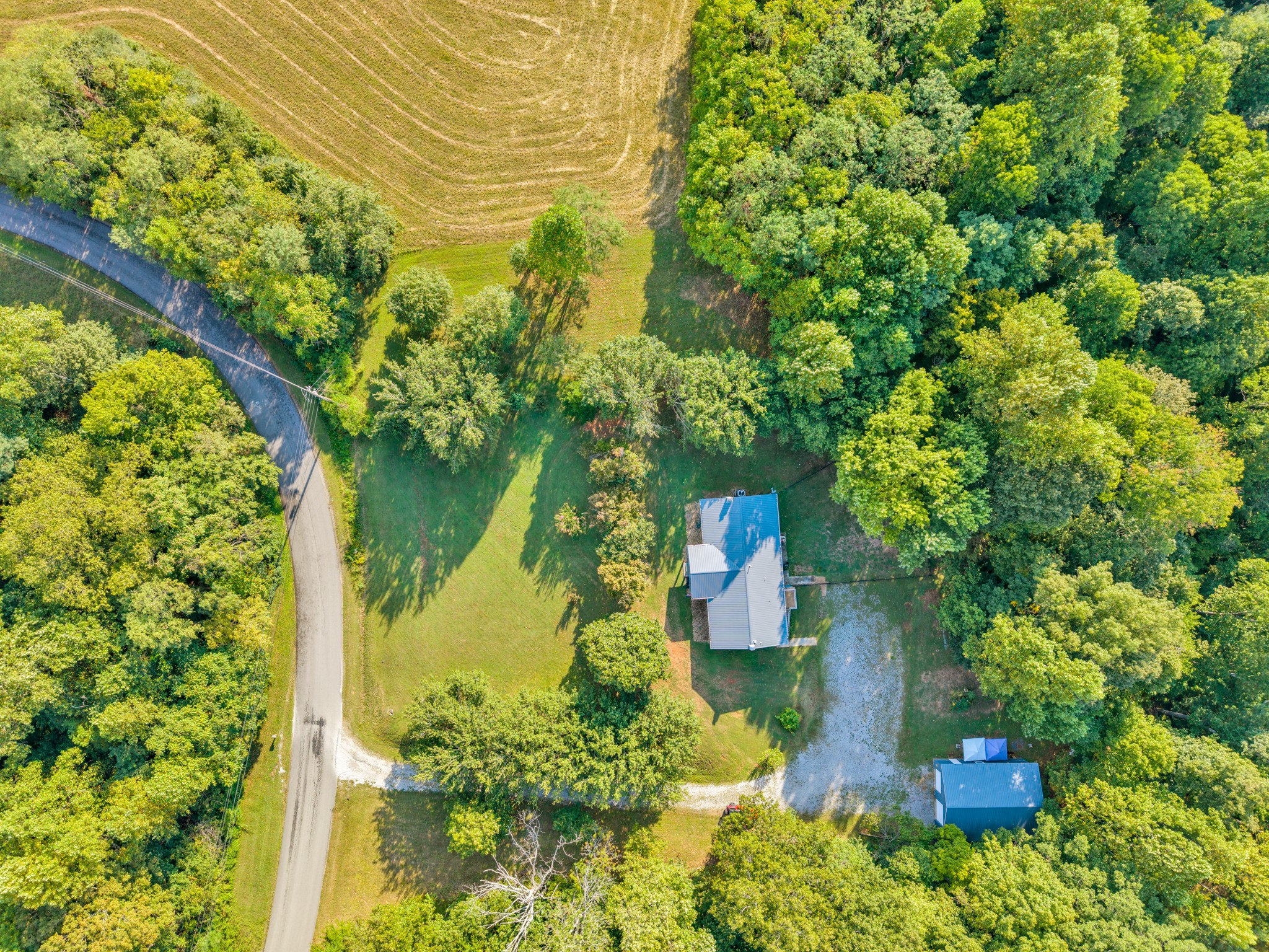 1389 Coconut Ridge Road Smithville, TN 37166 - Photo 7 of 39 a view of a garden
