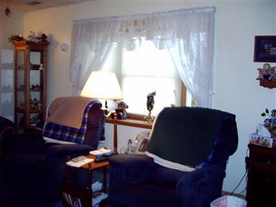 4166 East River Road Buchanan, MI 49107 - Photo 3 of 3 Additional Photo