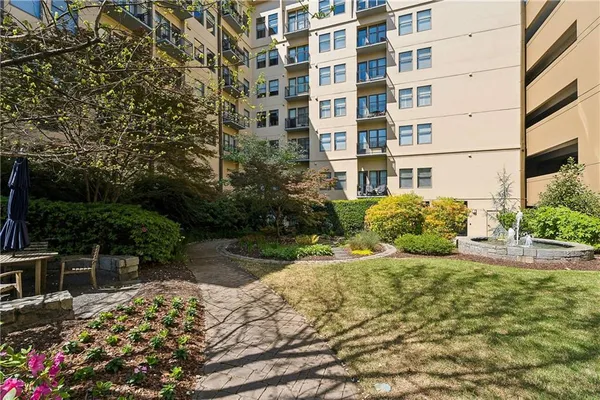 a view of a yard with plants and large trees