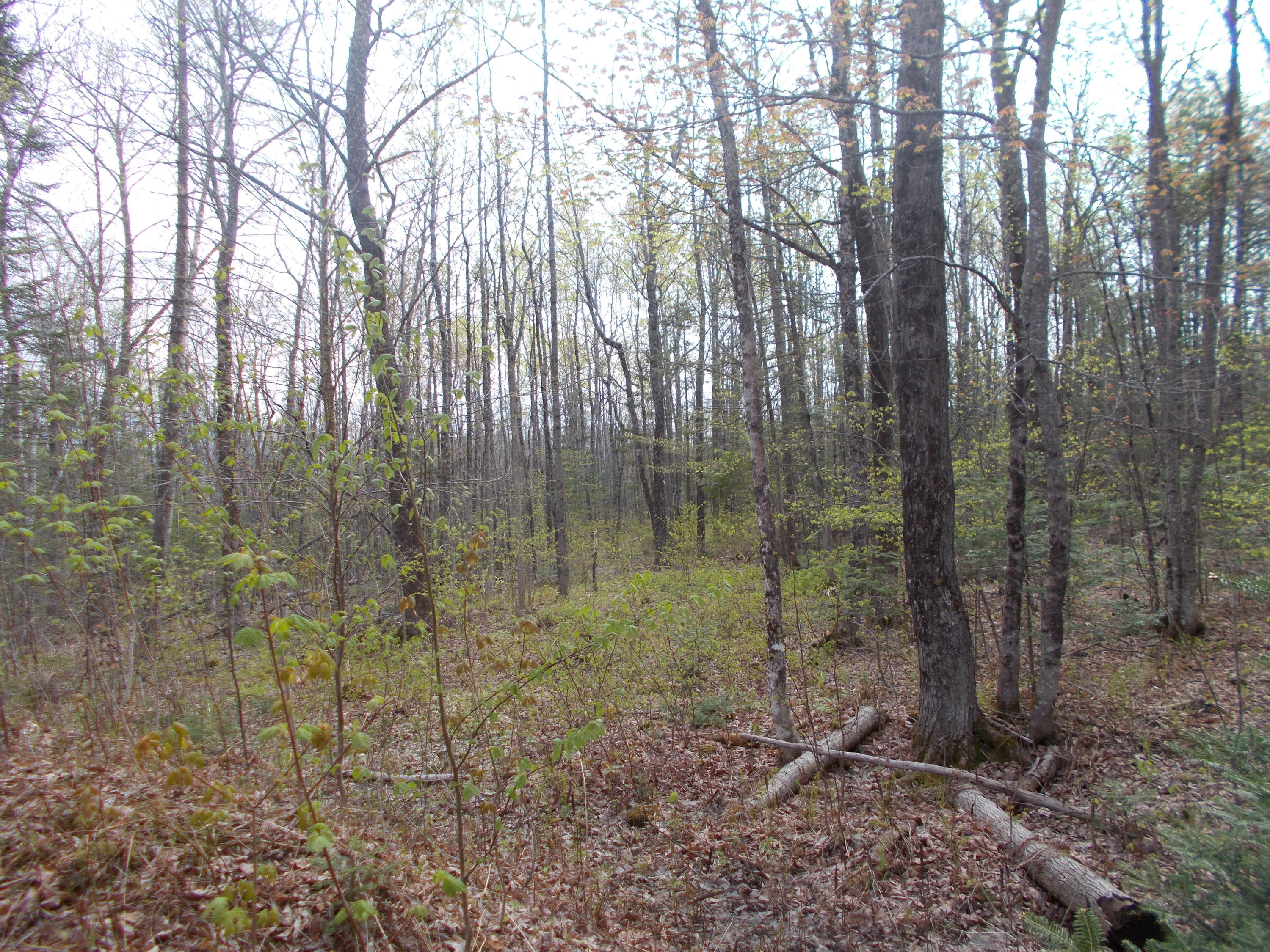 407 Brighton Road Athens, ME 04912 - Photo 11 of 11 DSCN1703