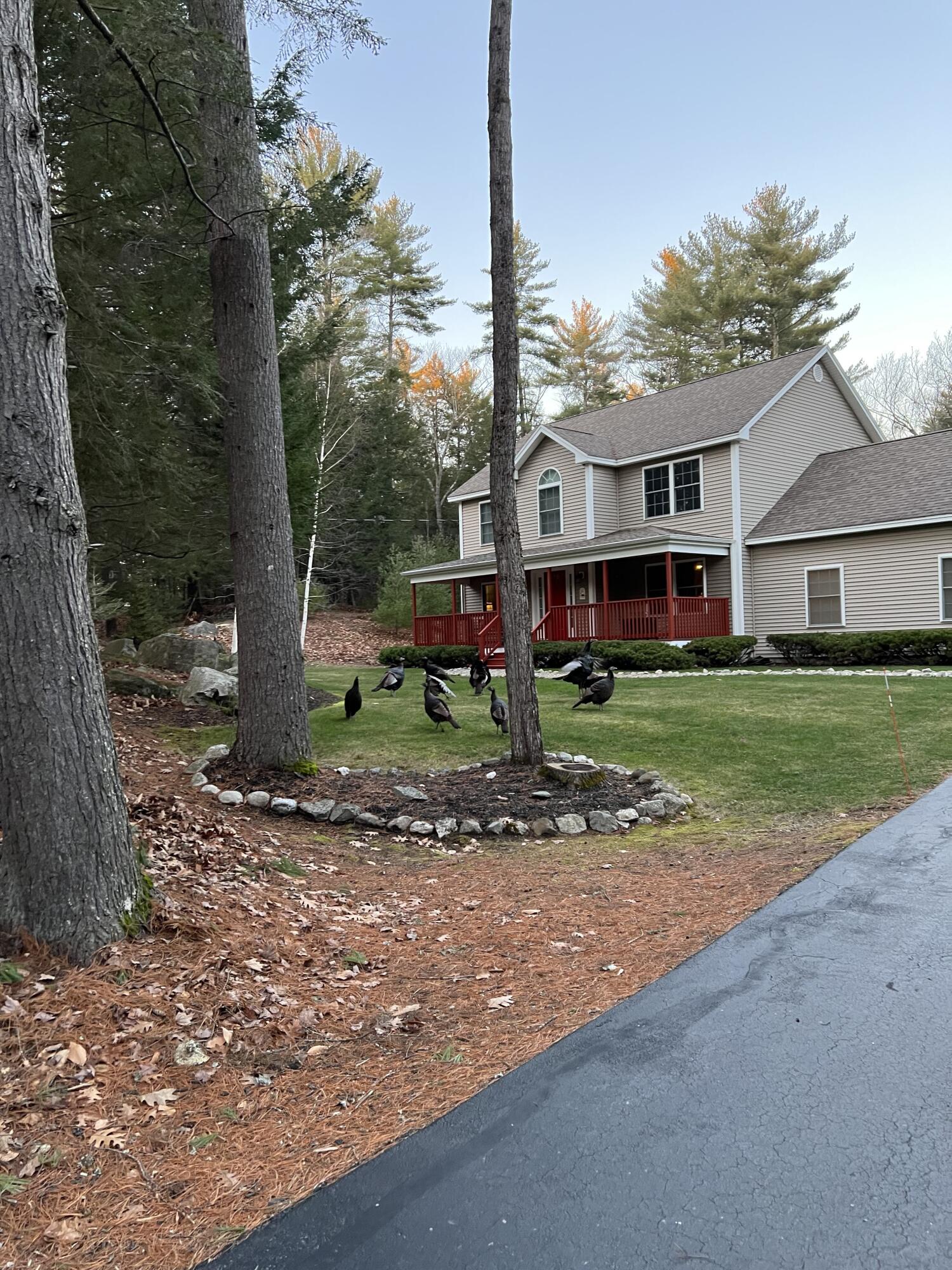 32 Fire Ln 23 Raymond, ME 04071 - Photo 11 of 39 Wildlife