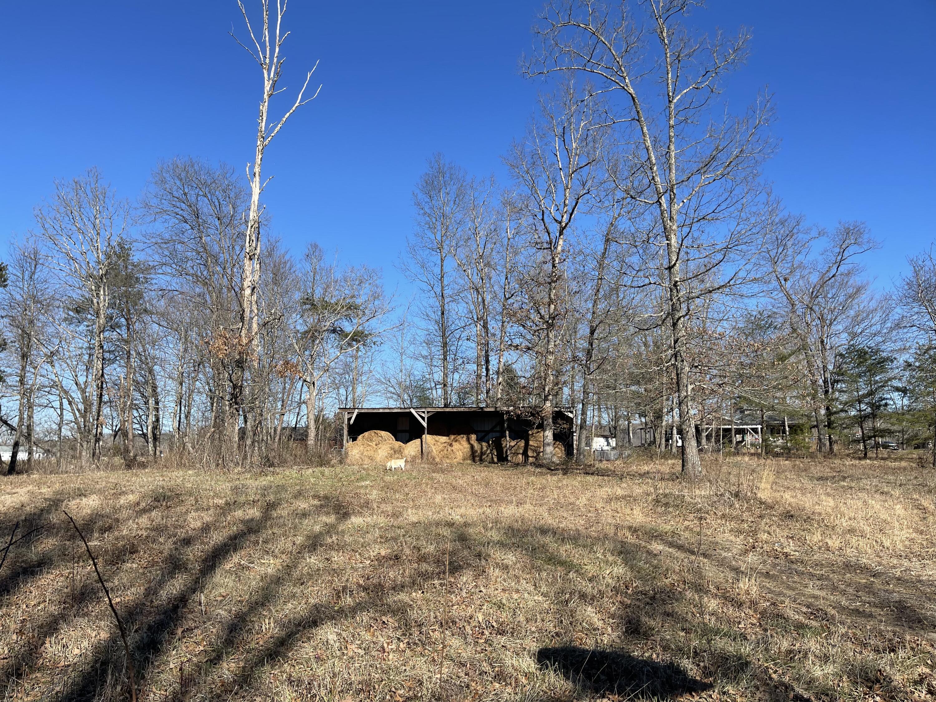 5712 Griffith Road Pikeville, TN 37367 - Photo 11 of 27 43451FF5-9F14-46DC-BAA0-4F3EDC30FEDB