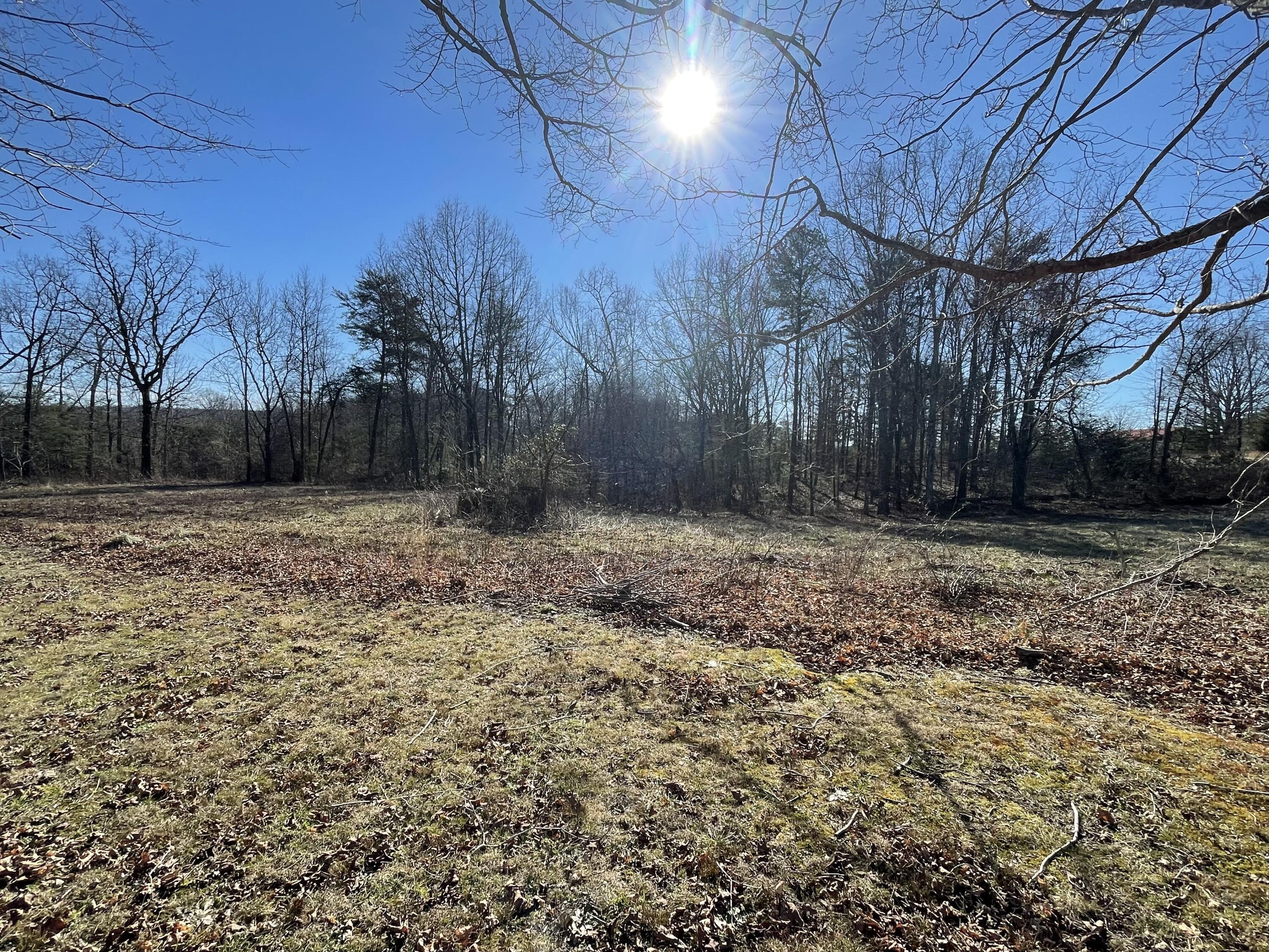 5712 Griffith Road Pikeville, TN 37367 - Photo 5 of 27 697816C7-F181-4C26-8318-A1FA41347079