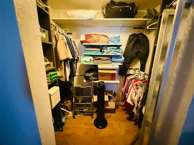 a view of a yard with plants and trees