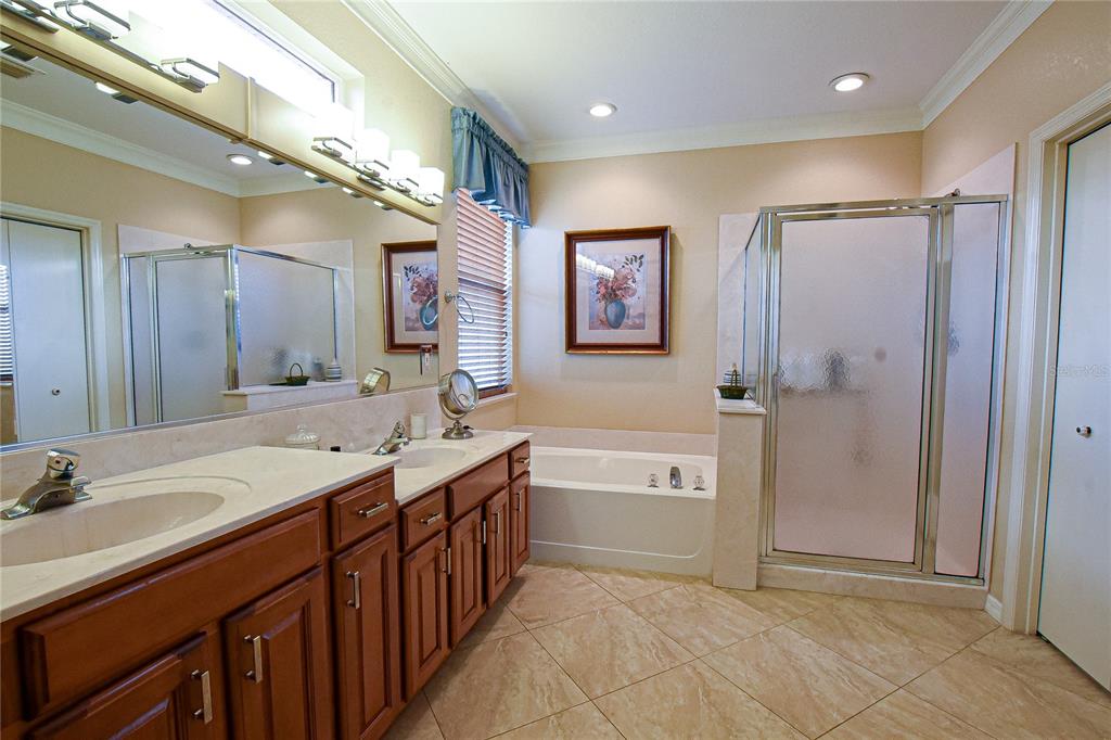 9541 Southeast 124th Loop Summerfield, FL 34491 - Photo 43 of 81