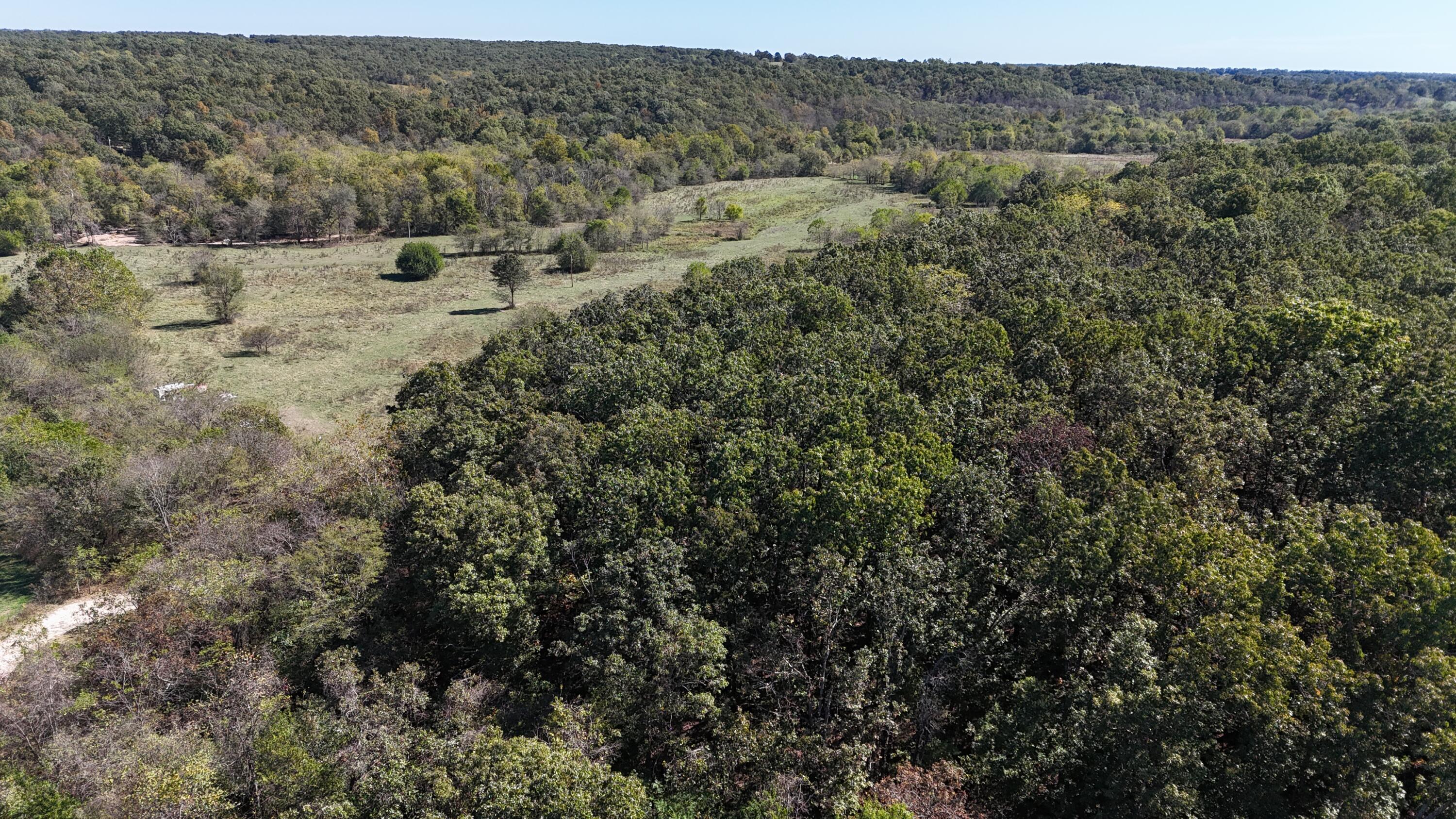 0 Grapevine Road Marshfield, MO 65706 - Photo 10 of 13 DJI_20251008131500_0548_D