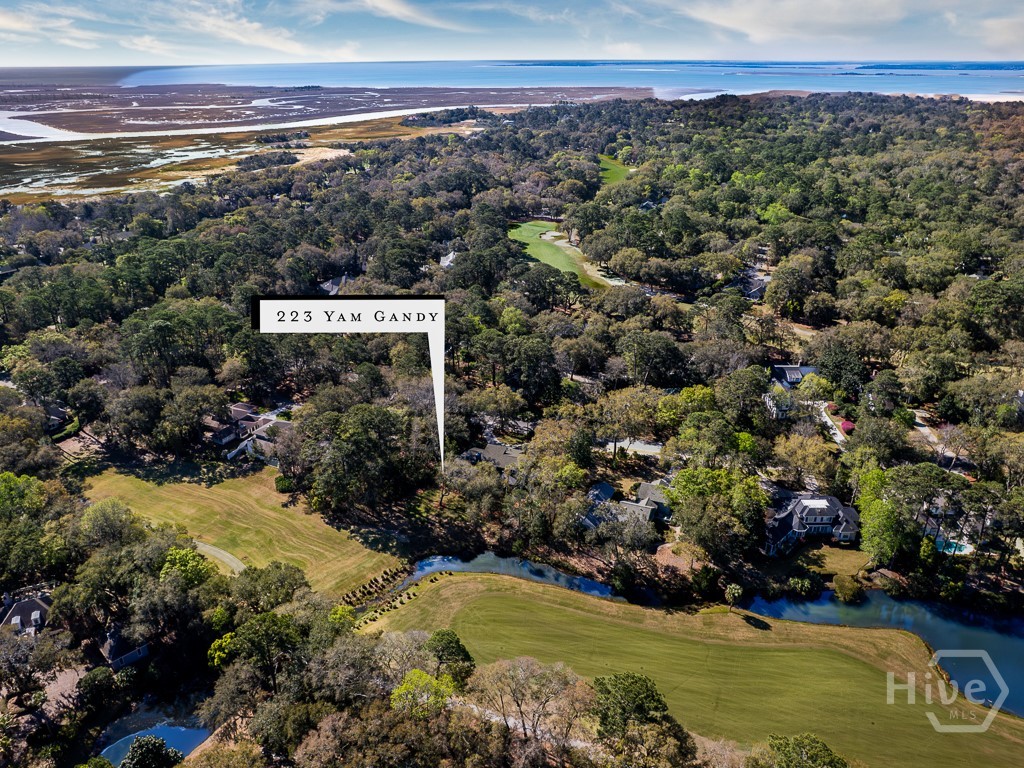 223 Yam Gandy Road Savannah, GA 31411 - Photo 47 of 51 Gallery Image 47