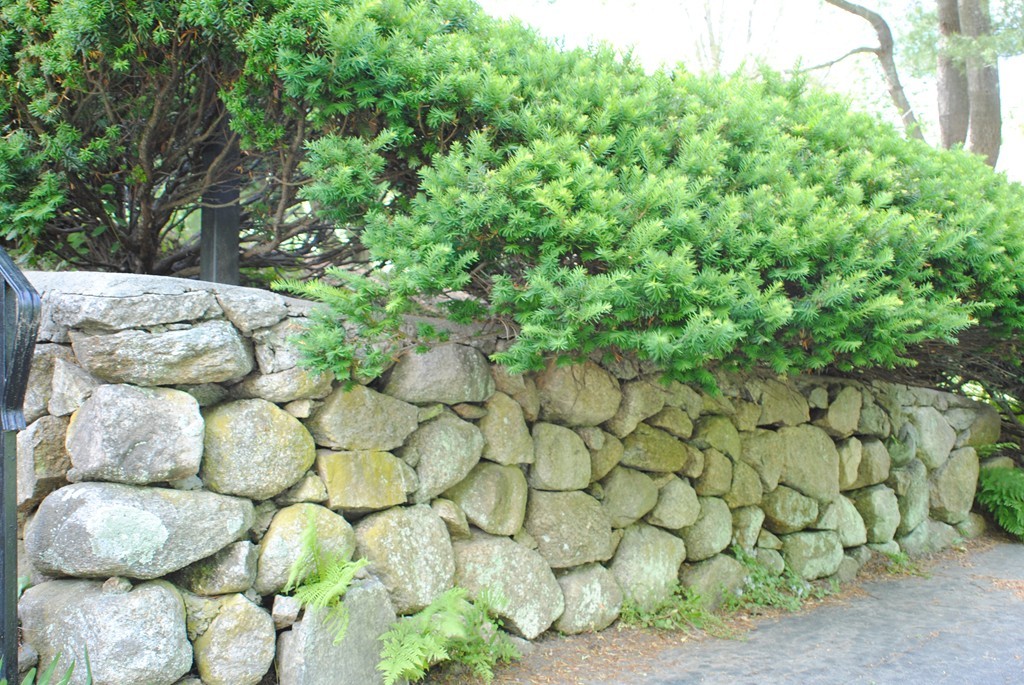 99 Woodside Road Sudbury, MA 01776 - Photo 18 of 22 Gallery Image 18