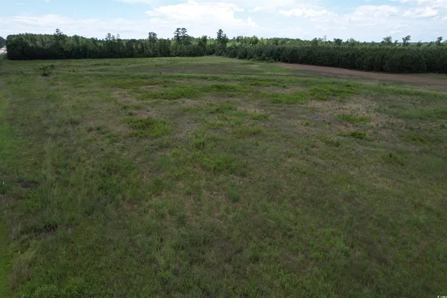 $100,000 | Tbd Martin Luther King Jr Avenue, Kingstree, SC 29556