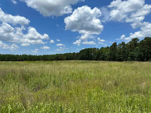 $100,000 | Tbd Martin Luther King Jr Avenue, Kingstree, SC 29556