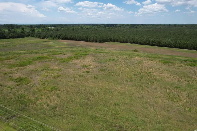 $100,000 | Tbd Martin Luther King Jr Avenue, Kingstree, SC 29556