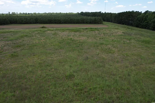 $100,000 | Tbd Martin Luther King Jr Avenue, Kingstree, SC 29556