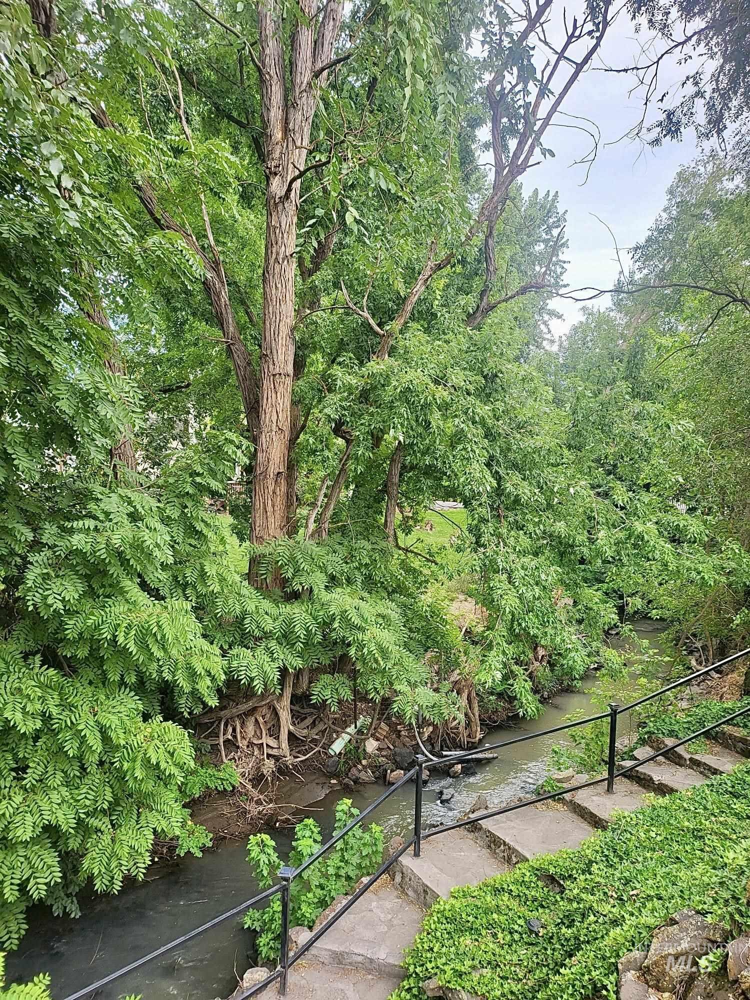 516 East Main Street Weiser, ID 83672 - Photo 45 of 50 View of steps leading down to creek
