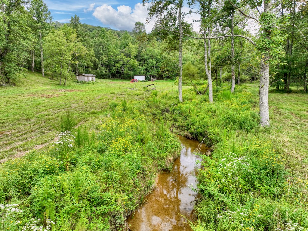 34.51-ac Weaver Creek Road Blue Ridge, GA 30513 - Photo 10 of 26 Gallery Image 10