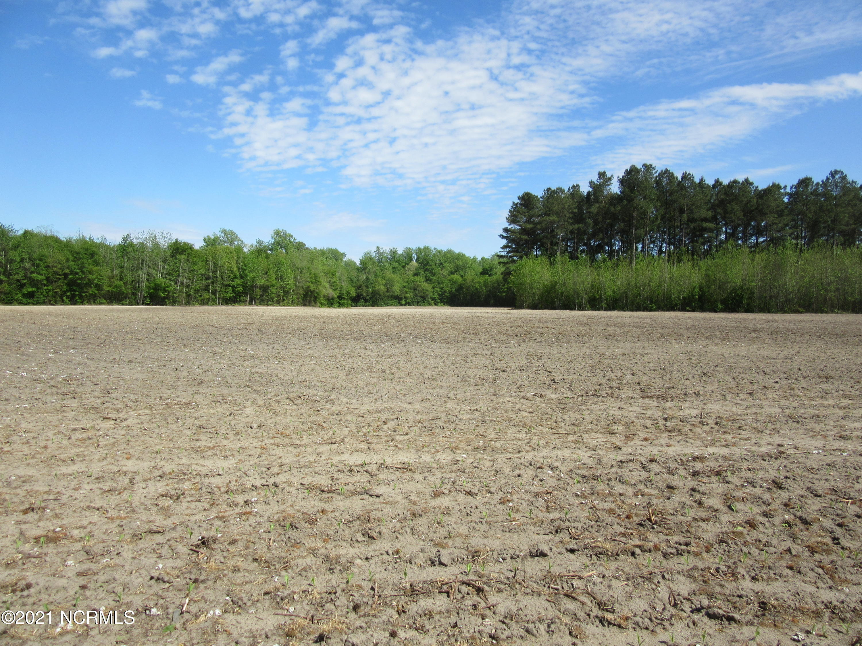 Lot 4 Off Mckeller Road Fairmont, NC 28340 - Photo 1 of 6 IMG_4988