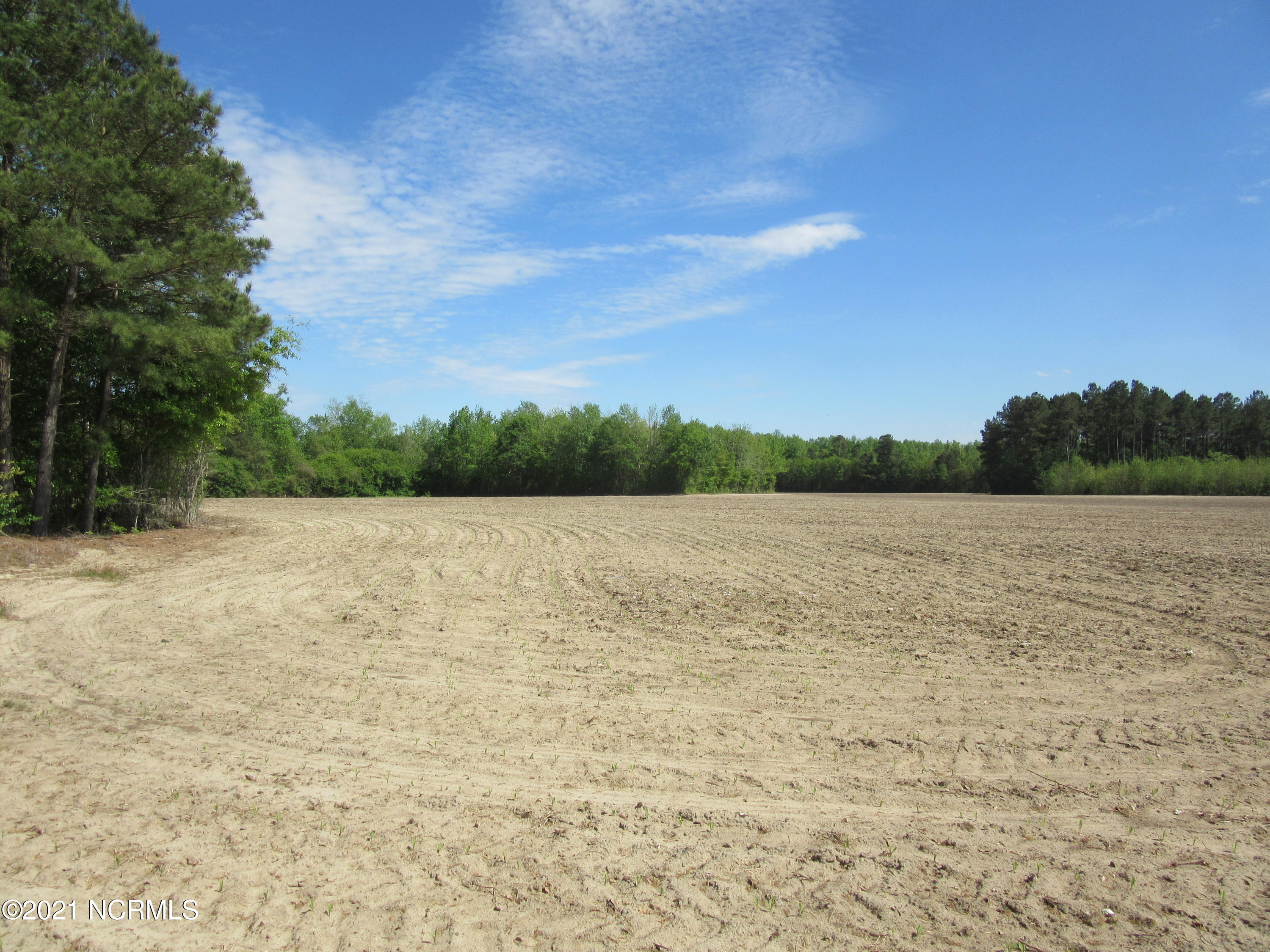Lot 4 Off Mckeller Road Fairmont, NC 28340 - Photo 2 of 6 IMG_4989