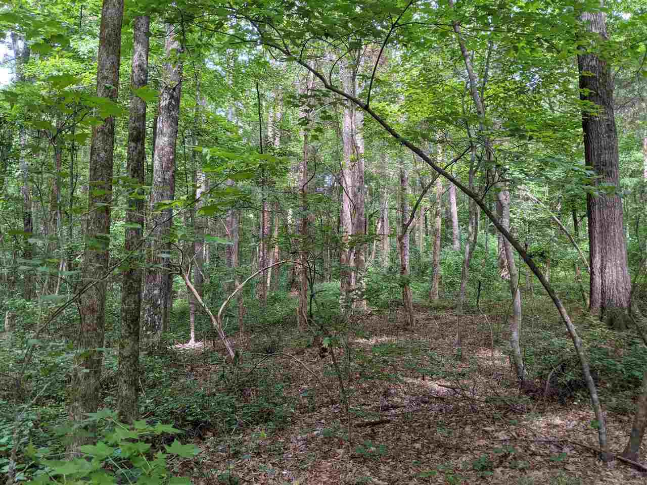 East Perry Road Pittsboro, NC 27312 - Photo 2 of 15 Photo 2