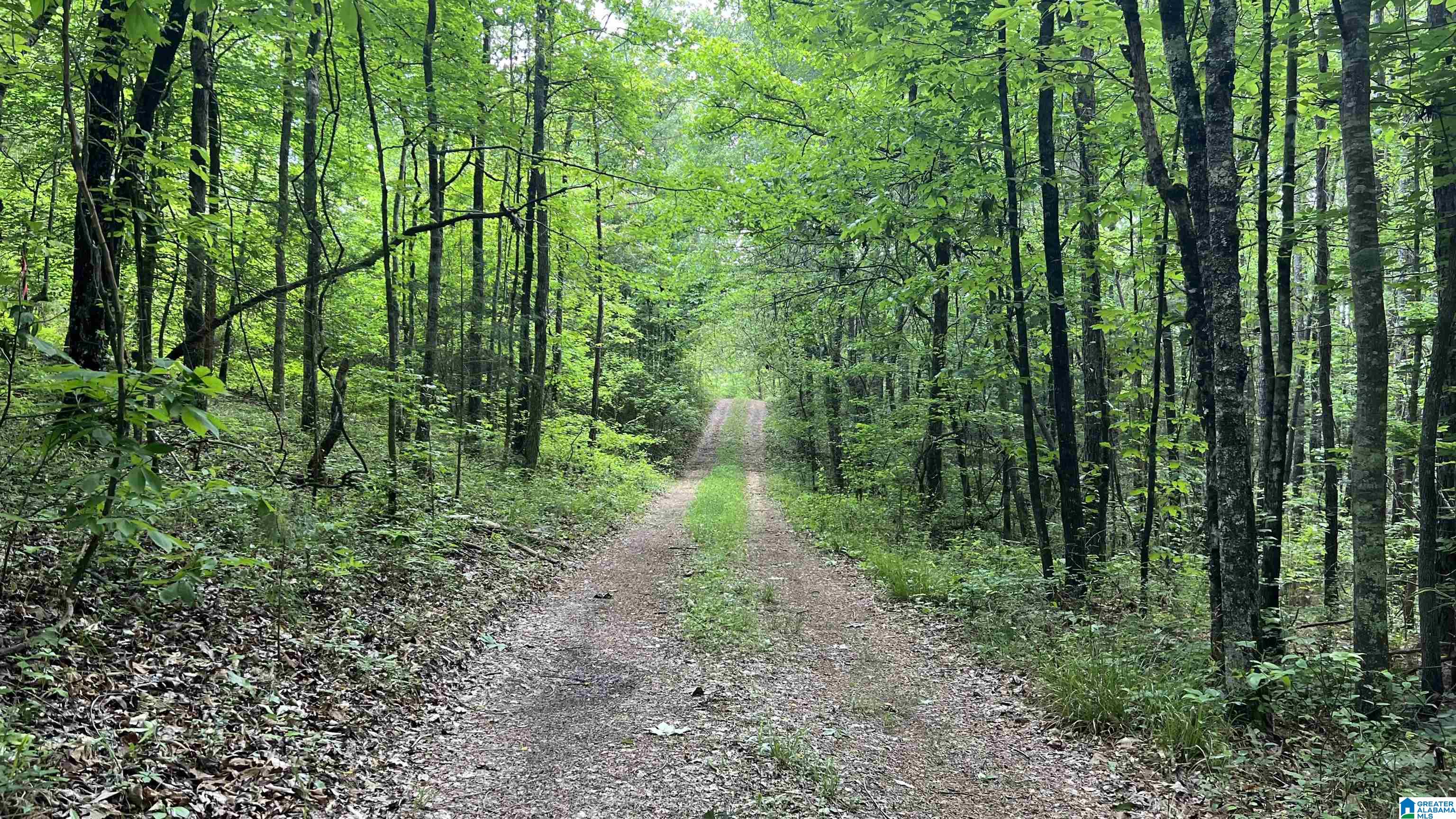 Lot 8 Woods Bend Road, Unit LOT 8 Ragland, AL 35131 - Photo 12 of 28