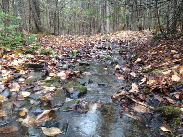 500 Orchard Road Guilford, ME 04443 - Photo 9 of 11 Maine Land for Sale Guilford, Maine