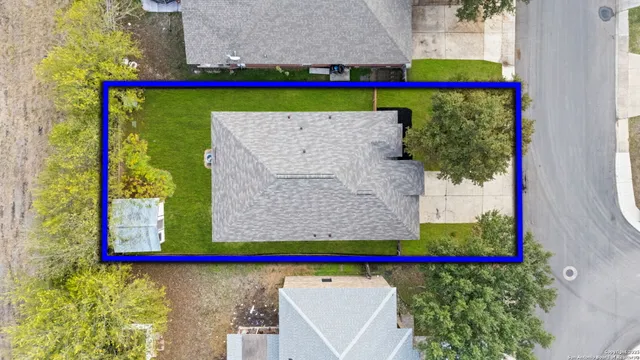 a view of a park with large trees