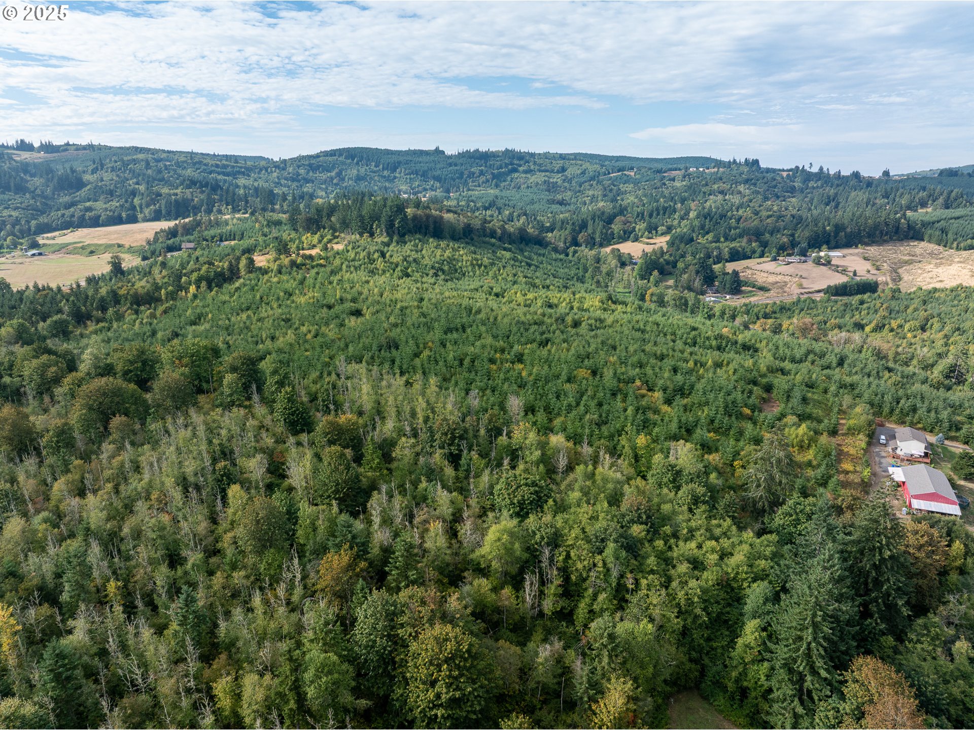 Barker Road Rainier, OR 97048 - Photo 7 of 15 Gallery Image 7