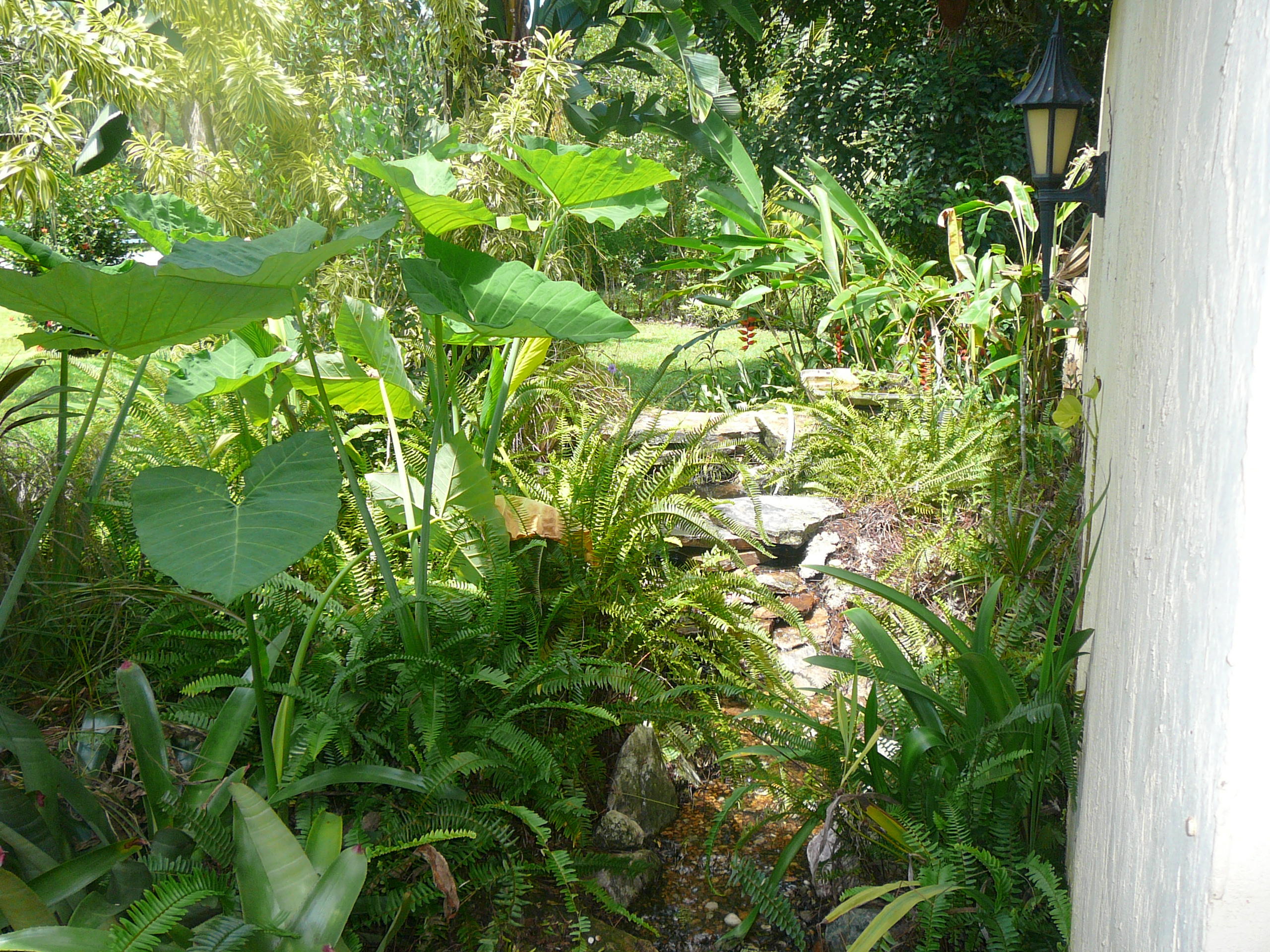 17592 Alexander Run Jupiter, FL 33478 - Photo 5 of 20 Kio Pond at Entry