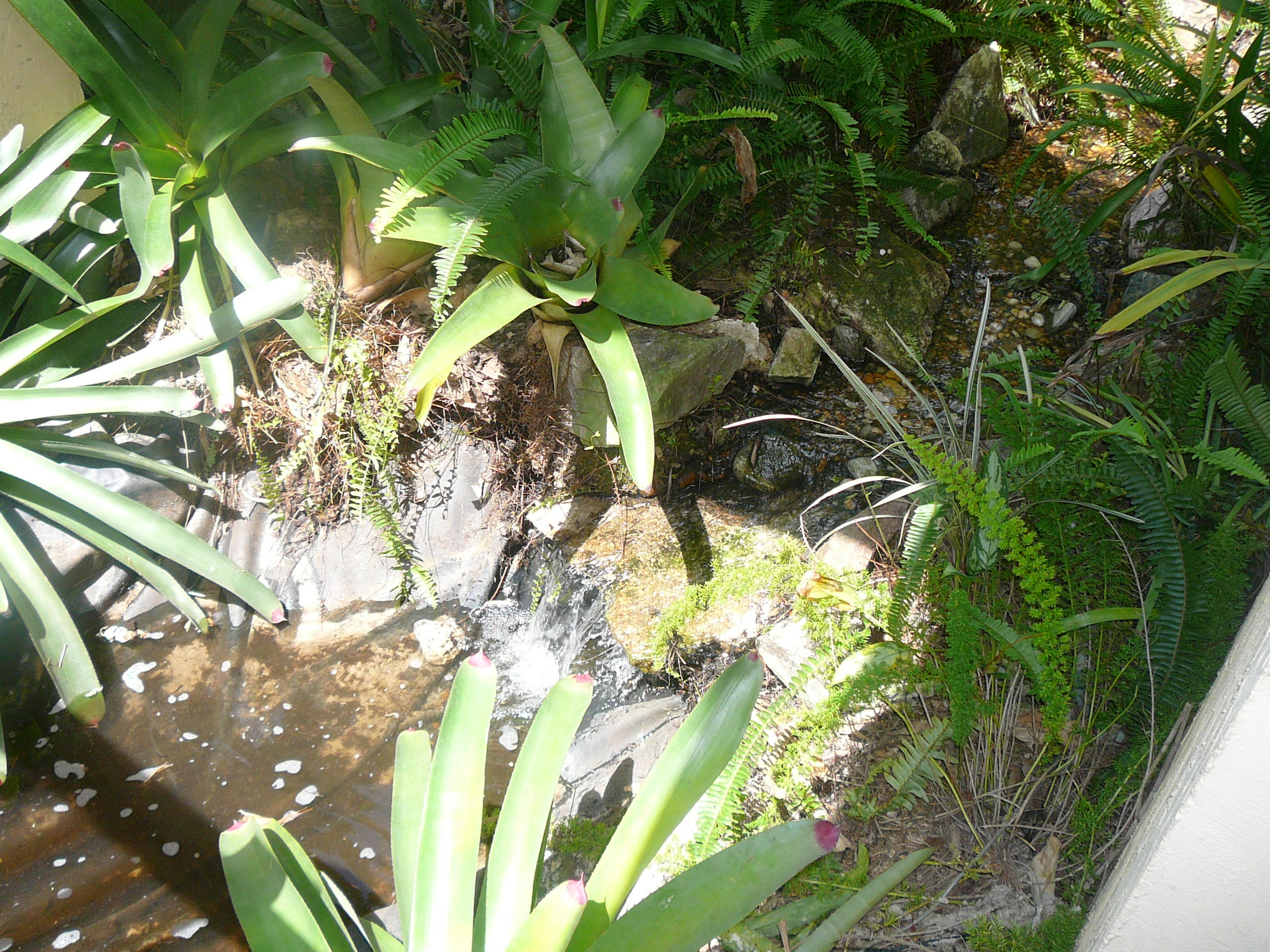 17592 Alexander Run Jupiter, FL 33478 - Photo 6 of 20 Waterfall at Kio Pond