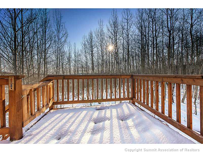 50 Lumberjack Road Fairplay, CO 80440 - Photo 5 of 25 View. View from the private wrap around deck.