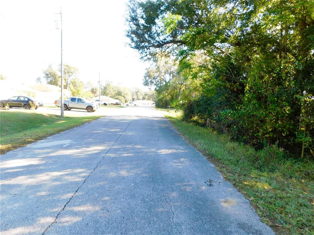 Southeast 135th Lane Belleview, FL 34420 - Photo 5 of 5 a view of a yard with a large tree