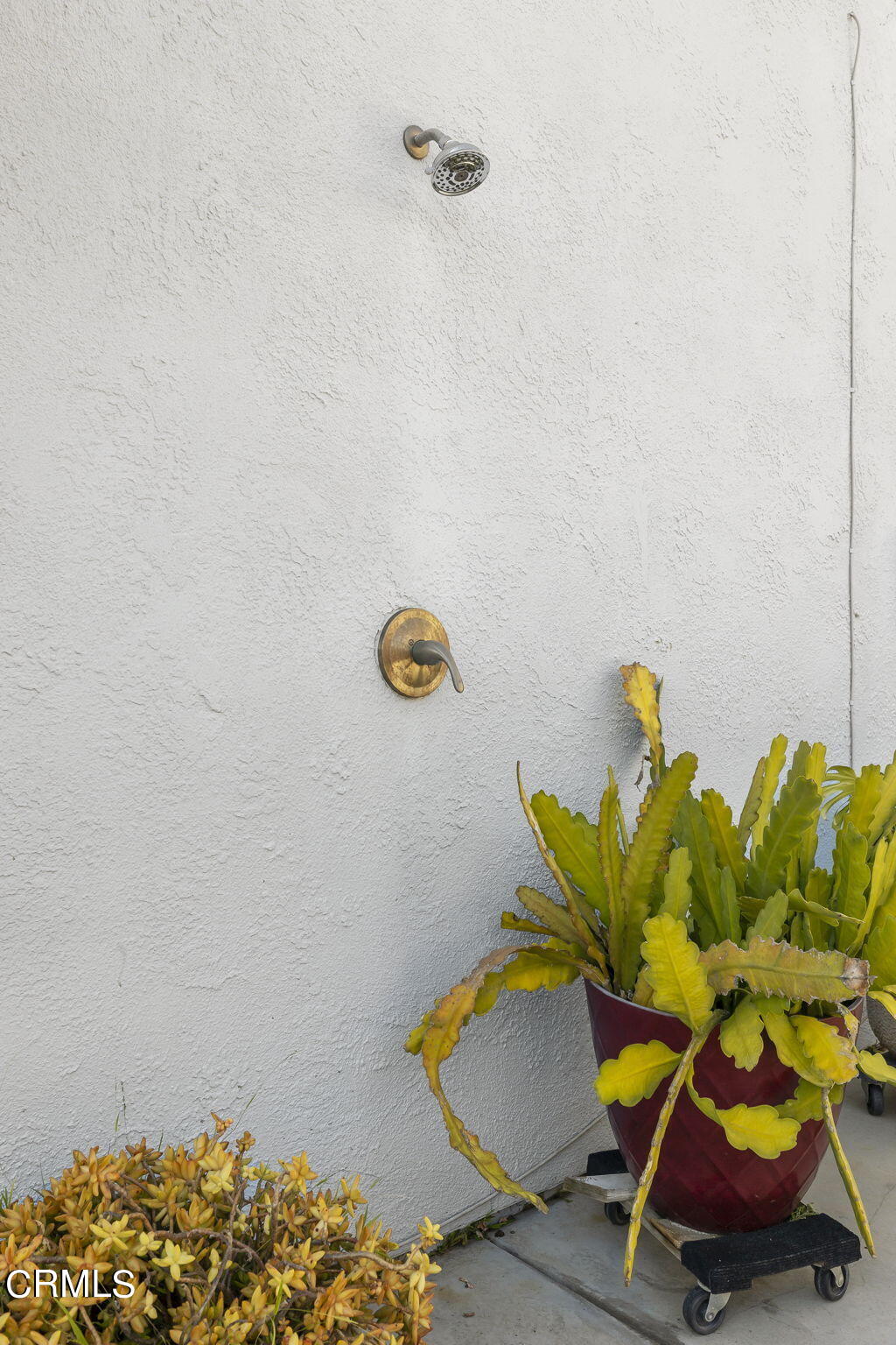 229 Rossmore Drive Oxnard, CA 93035 - Photo 46 of 54 46-web-or-mls-UpmarketMedia_229Ross-143