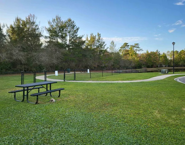 a view of a park with large trees