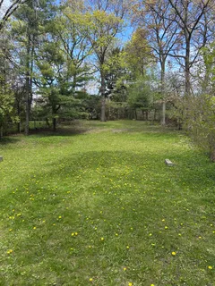 a view of a field with trees