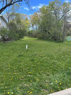 a green field with lots of bushes